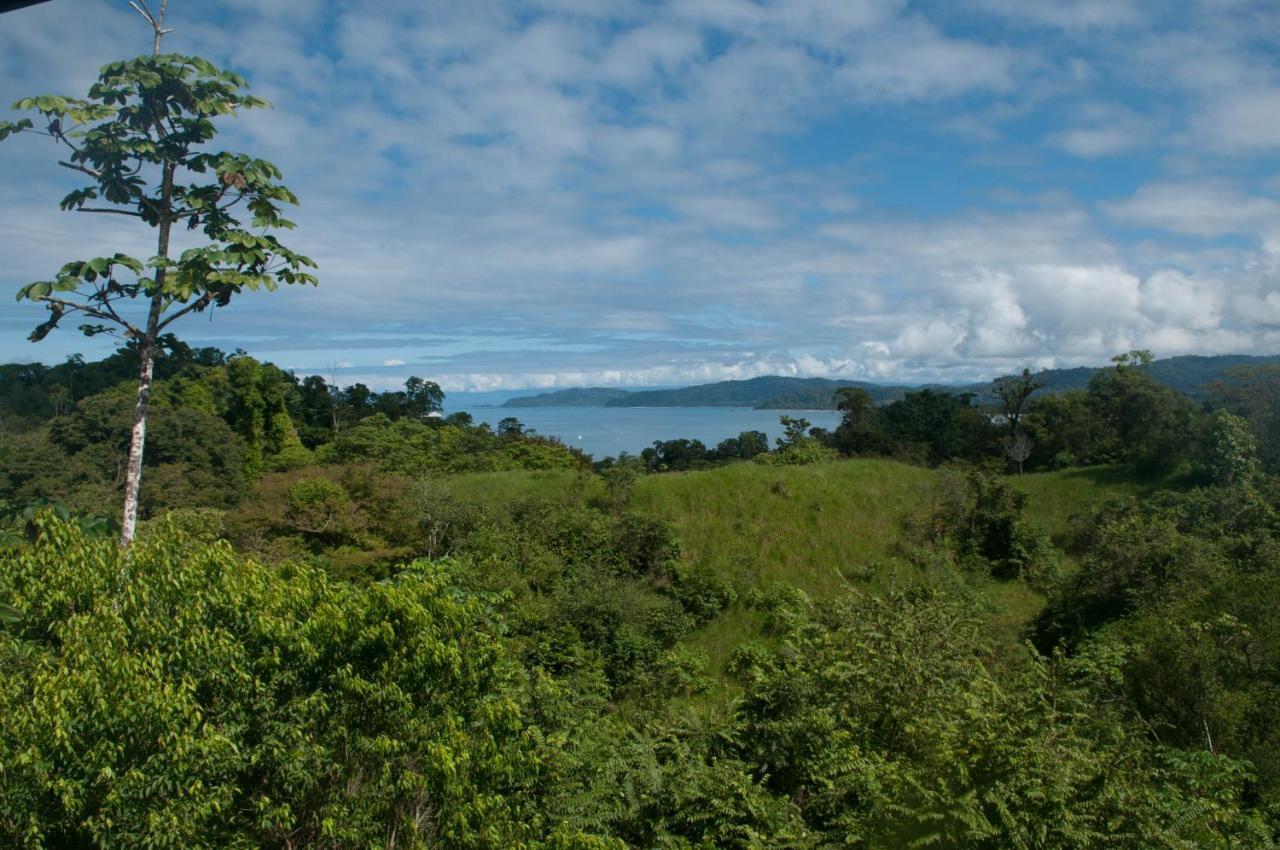 Drake Bay Greenleaf ภายนอก รูปภาพ