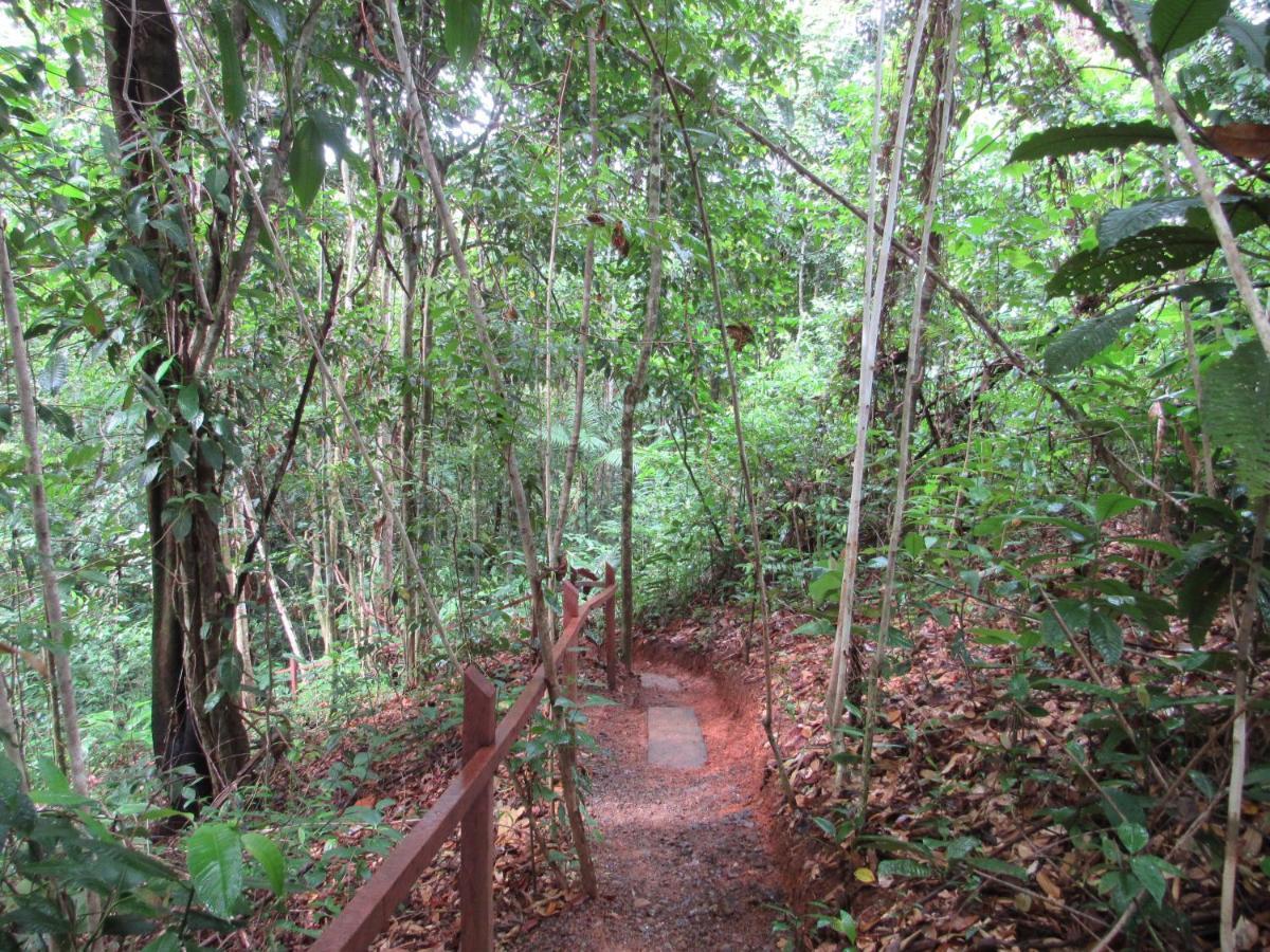 Drake Bay Greenleaf ภายนอก รูปภาพ