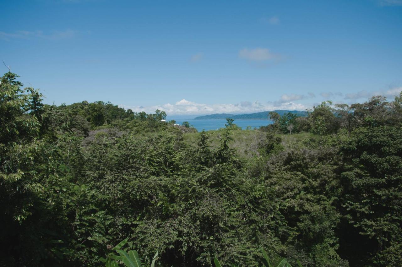 Drake Bay Greenleaf ภายนอก รูปภาพ